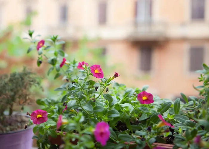 Nocleg ze śniadaniem Vatican's Keys 4*