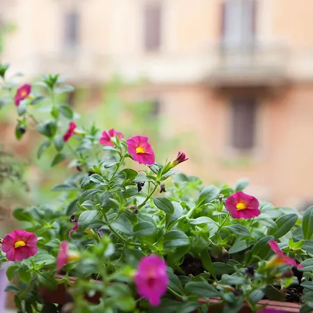 Bed & Breakfast Vatican's Keys 4*